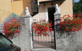 La casa di Pina